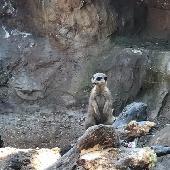 2021-06-17 ZOO Hodonn